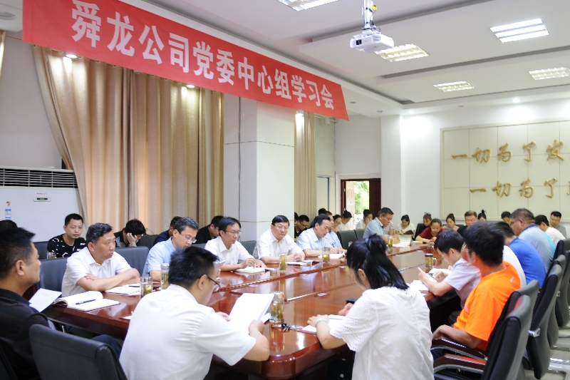 舜龍公司召開“講忠誠、嚴紀律、立政德”專題警示教育動員會